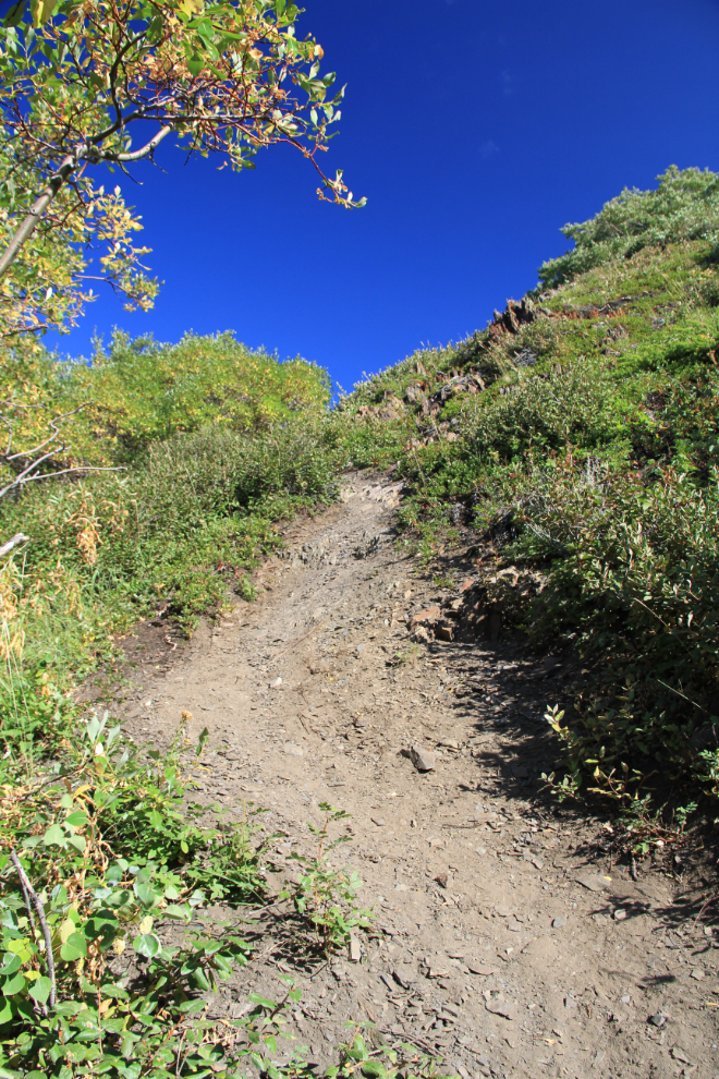 Hiking the Caribou Mountain trail, Yukon