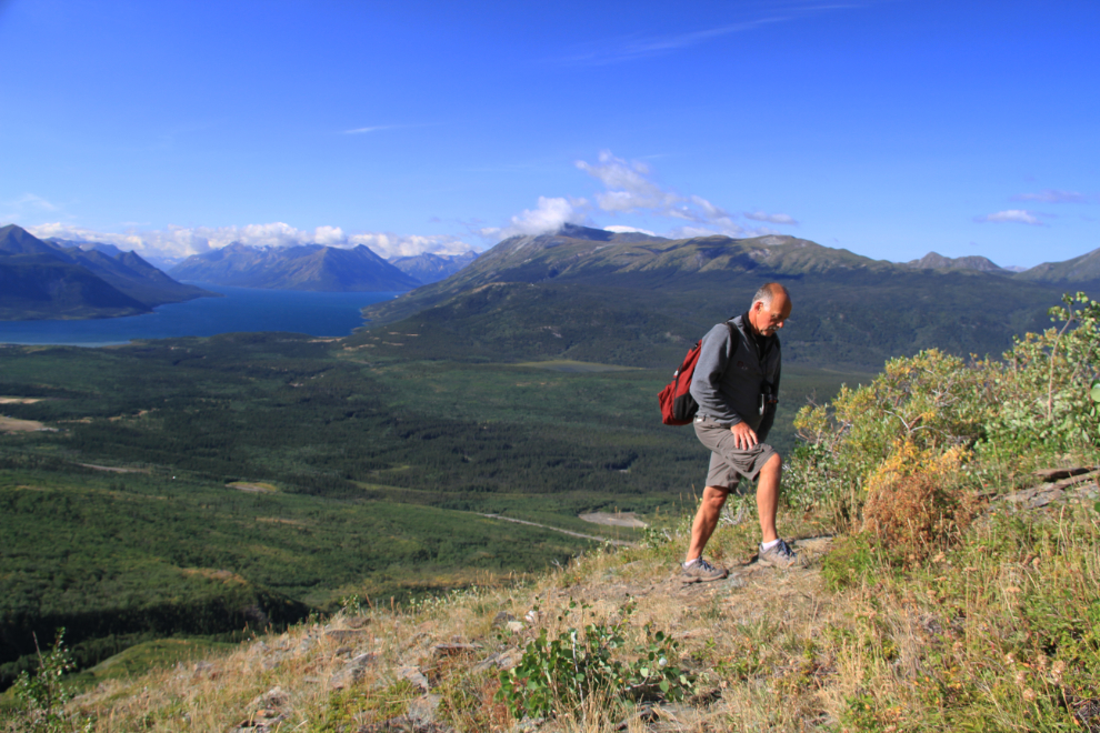 Hiking the Caribou Mountain trail, Yukon