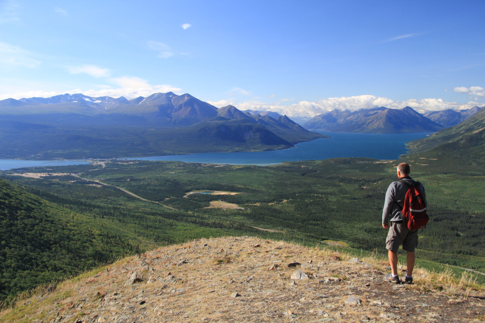 The view from the Caribou Ridge trail, Yukon