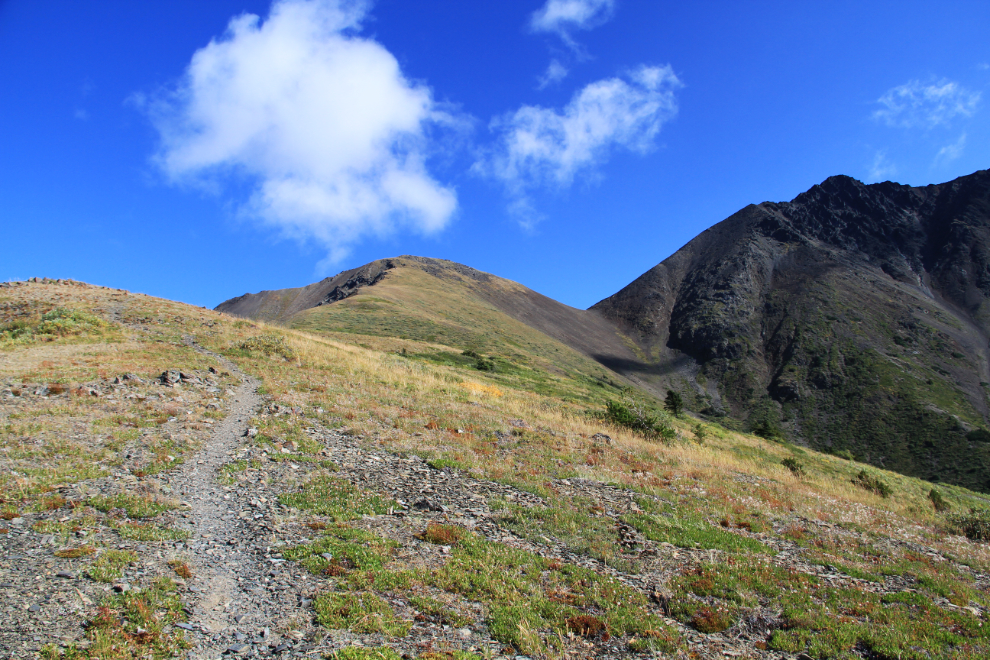 Caribou Ridge trail, Yukon