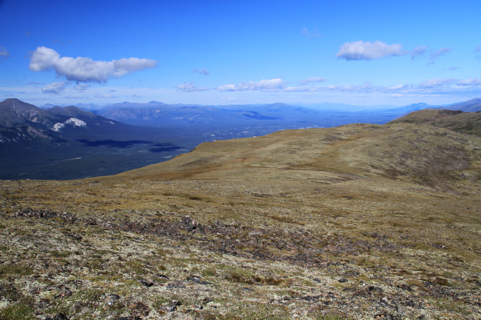 Caribou Ridge, Yukon