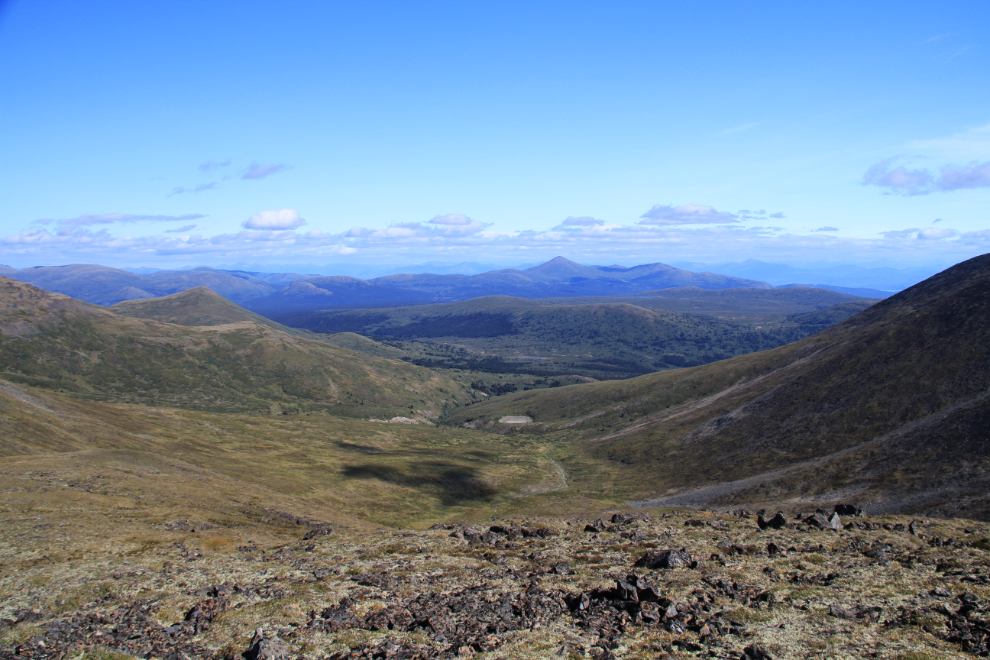 The view from the Caribou Mountain trail, Yukon