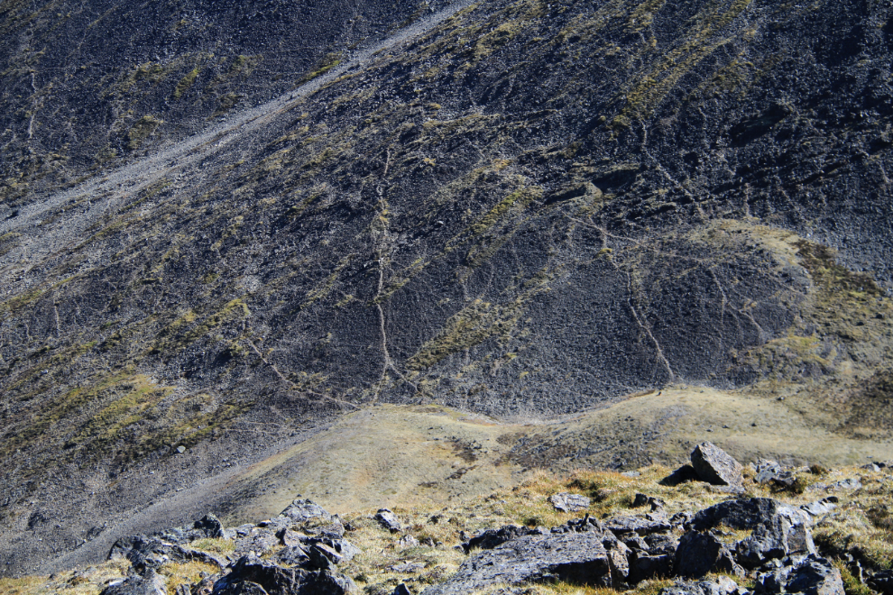 Dall sheep trails on Caribou Ridge, Yukon