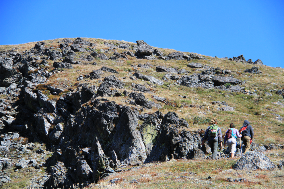 Hikers on the Caribou Mountain trail, Yukon