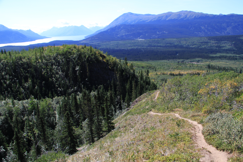 Caribou Mountain trail, Yukon