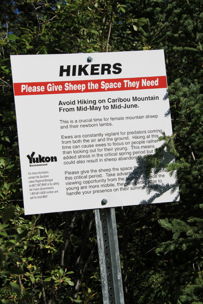 Start of the Caribou Ridge trail, Yukon