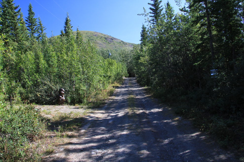 Start of the Caribou Mountain trail, Yukon