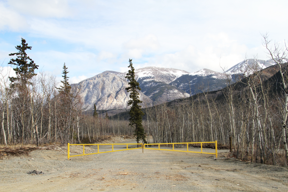 Campground at Conrad, Yukon