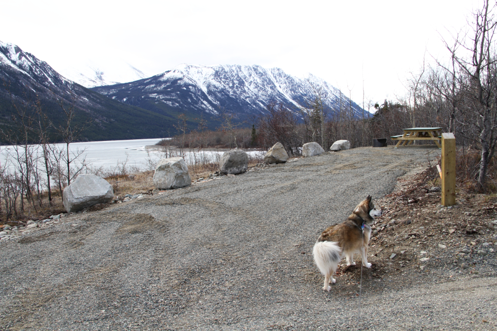 Campground at Conrad, Yukon