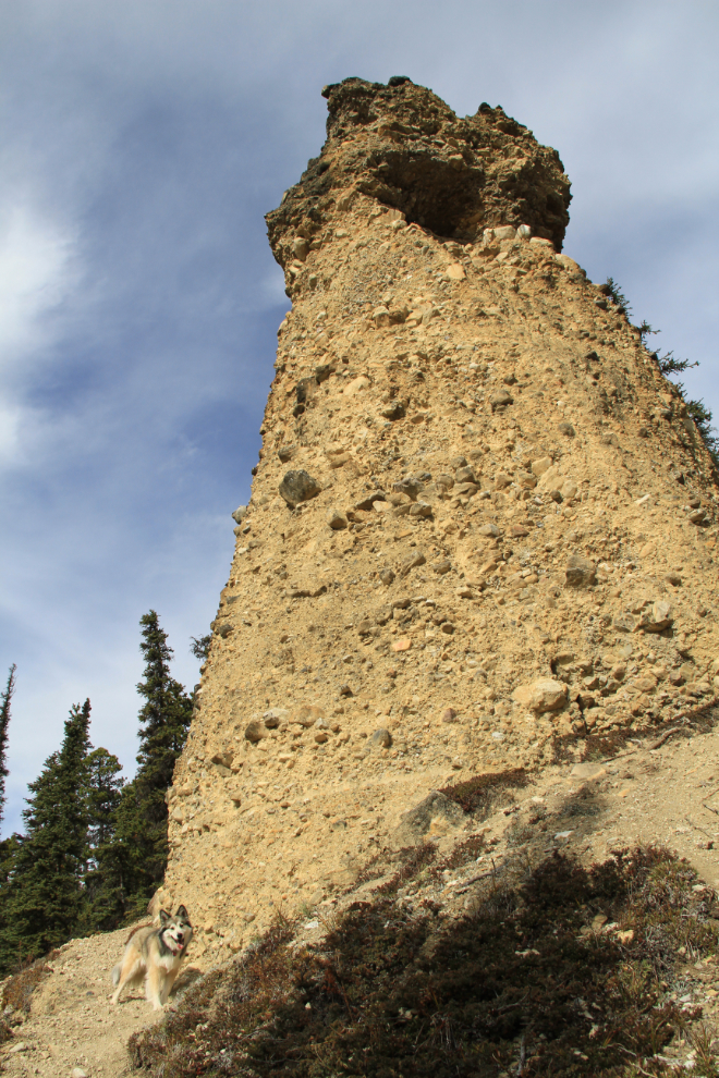 Hoodoo at Erosion Pillar Trail, Stone Mountain Park, Alaska Highway