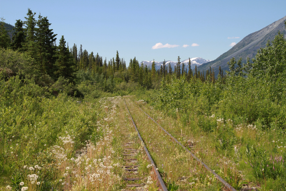 The WP&YR railway line just south of Carcross.