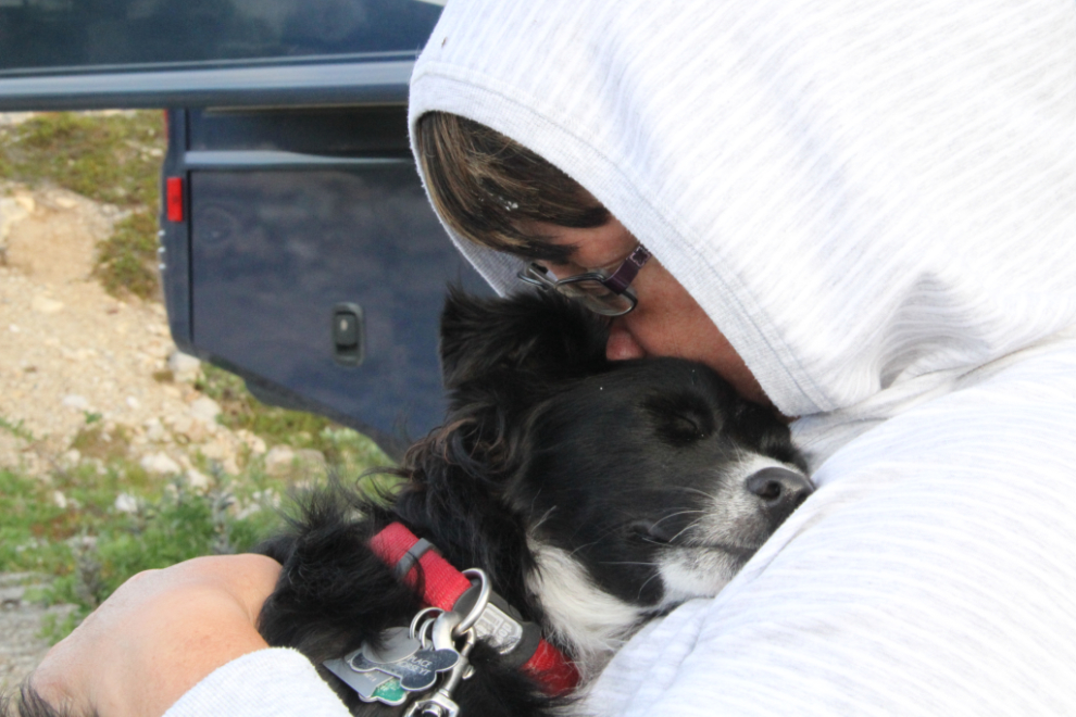 Puppy bed-time outside the RV