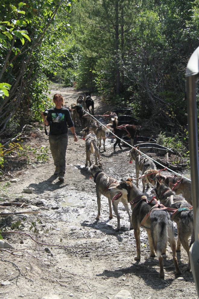 Michelle Phillips at Tutshi Sled Dog Tours, Yukon