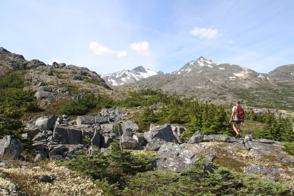 Murray Lundberg, hiking in the White Pass