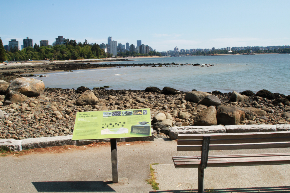 The 'Survivors Along the Shore' interpretive panel describes the intertidal animals living between low and high tides lines