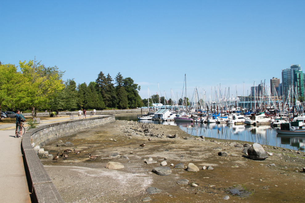 Coal Harbour in Vancouver, BC