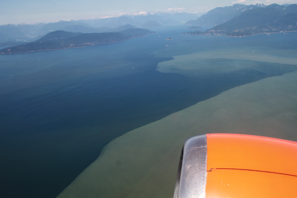 The muddy waters of the Fraser River and the clear salt water of the Salish Sea.