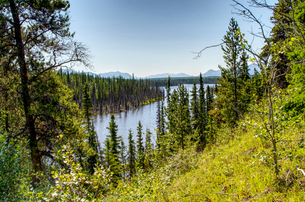 A view over Murray Lake from the Trans Canada Trail