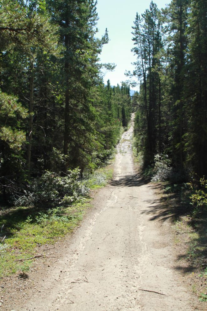 The Trans Canada Trail along Murray Lake, Whitehorse