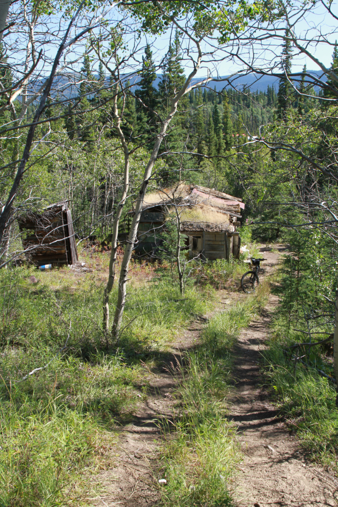 A woodcutter's road and cabin along Dugdale Creek south of Whitehorse