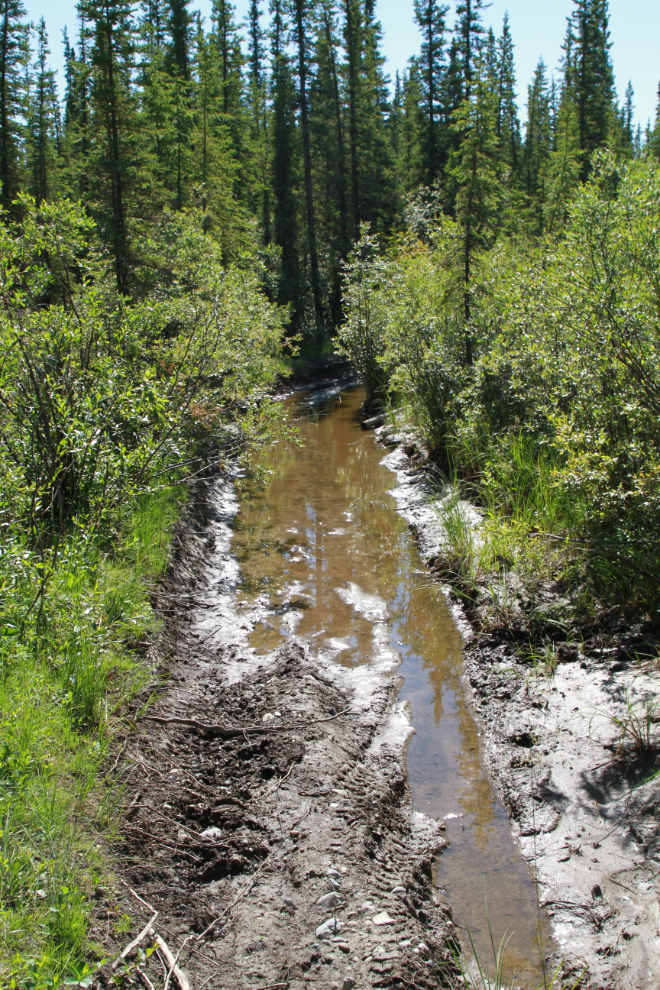 Deep and lengthy water and mud on the Trans Canada Trail at Cowley Lake