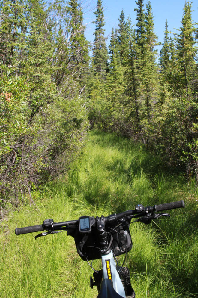 A shortcut trail from the Trans Canada Trail to Cowley, south of Whitehorse