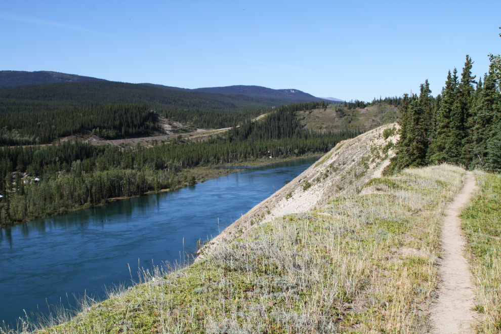 A hiking trail high above the Yukon River below the Lewes River Dam