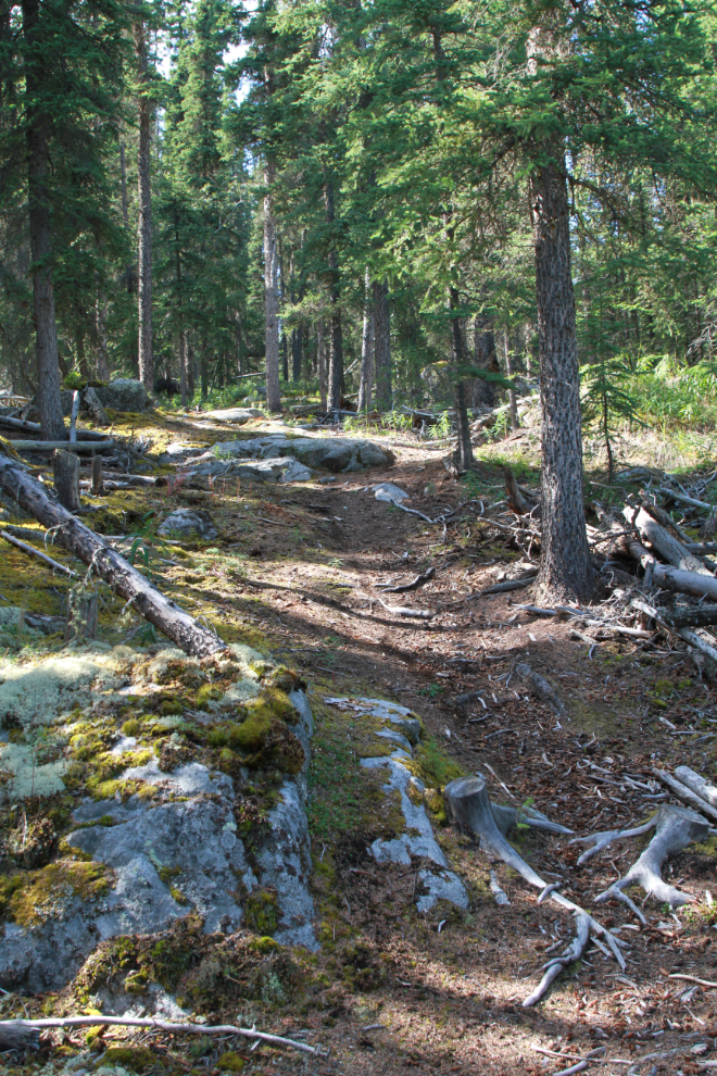 E-bike riding on a trail near Mary Lake, Whitehorse, Yukon