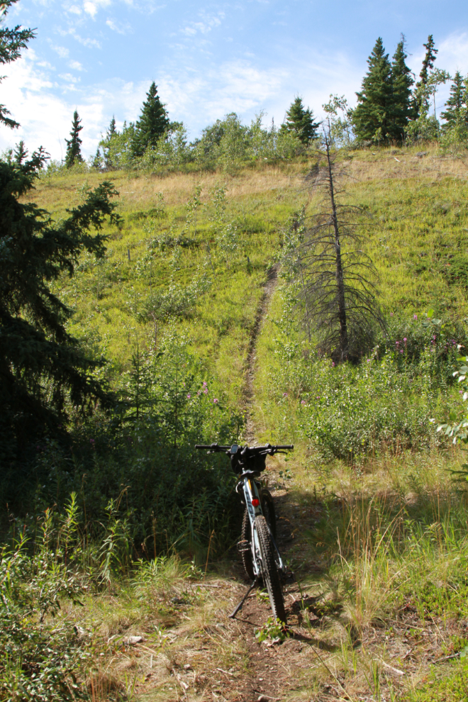 E-bike riding on a trail near Mary Lake, Whitehorse, Yukon