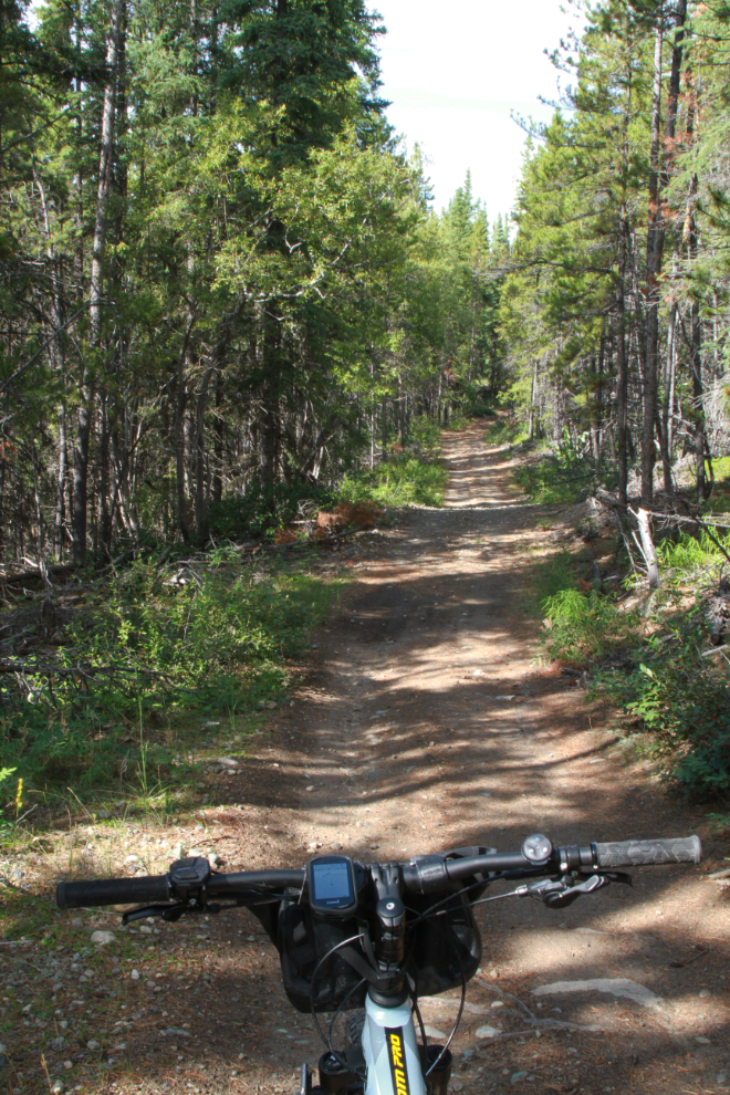 E-bike riding on a trail near Mary Lake, Whitehorse, Yukon