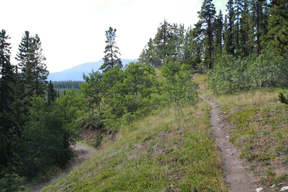 E-bike riding on a trail near Mary Lake, Whitehorse, Yukon