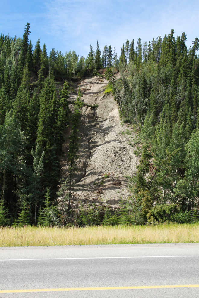 Landslide on the Whitehorse clay cliffs