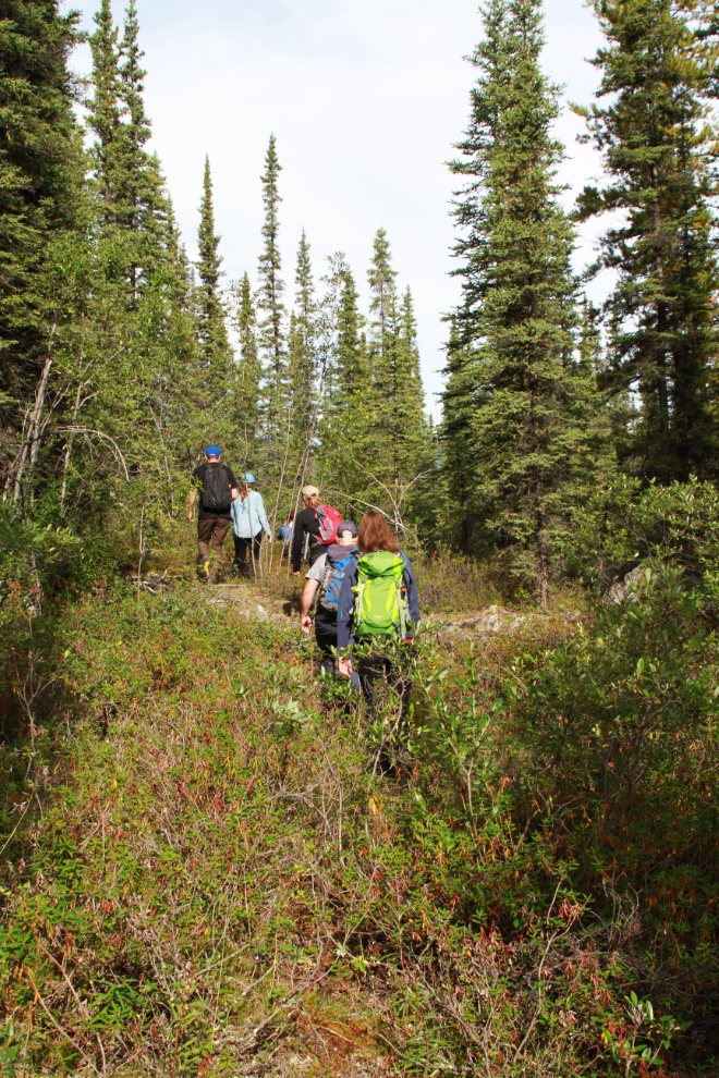 Hiking cross-country in the Whitehorse Copper Belt