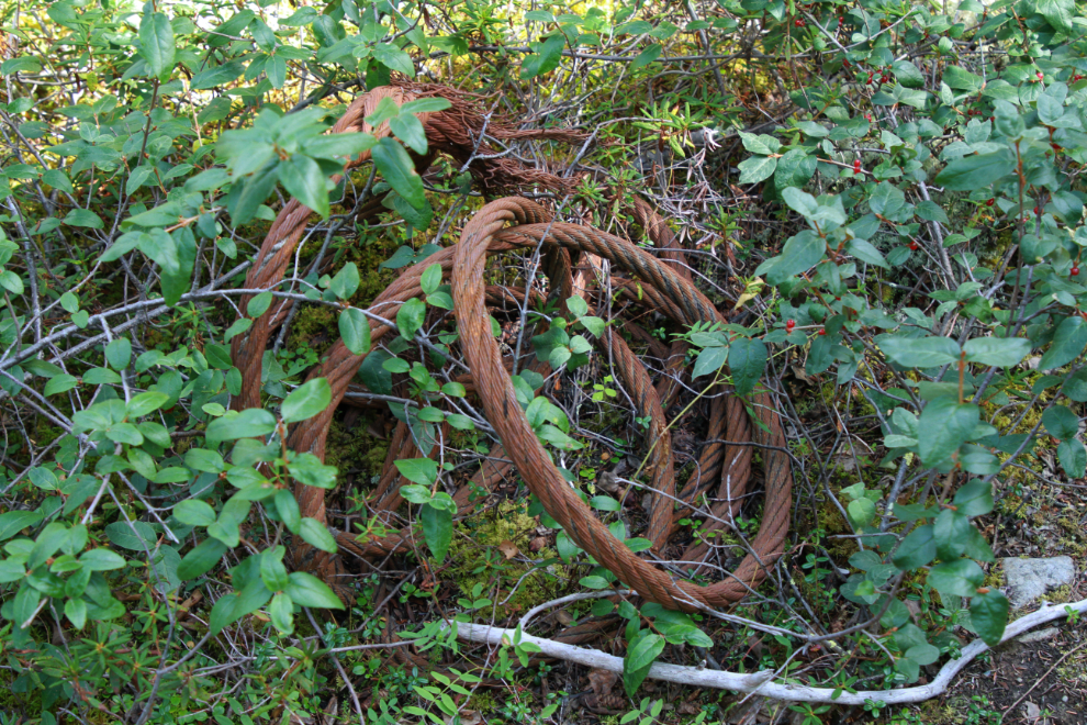 Historic wire cable in the Whitehorse Copper Belt