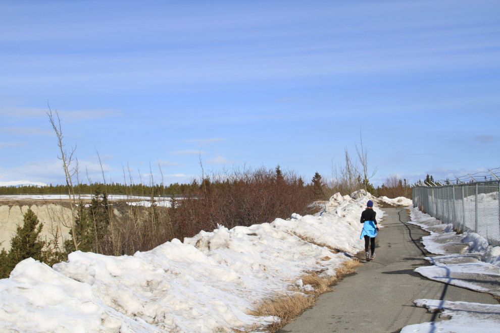 The walking trail at the Whitehorse, Yukon airport