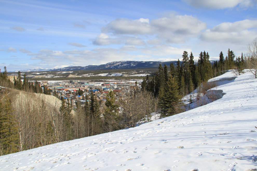 Whitehorse, Yukon from the airport walking trail