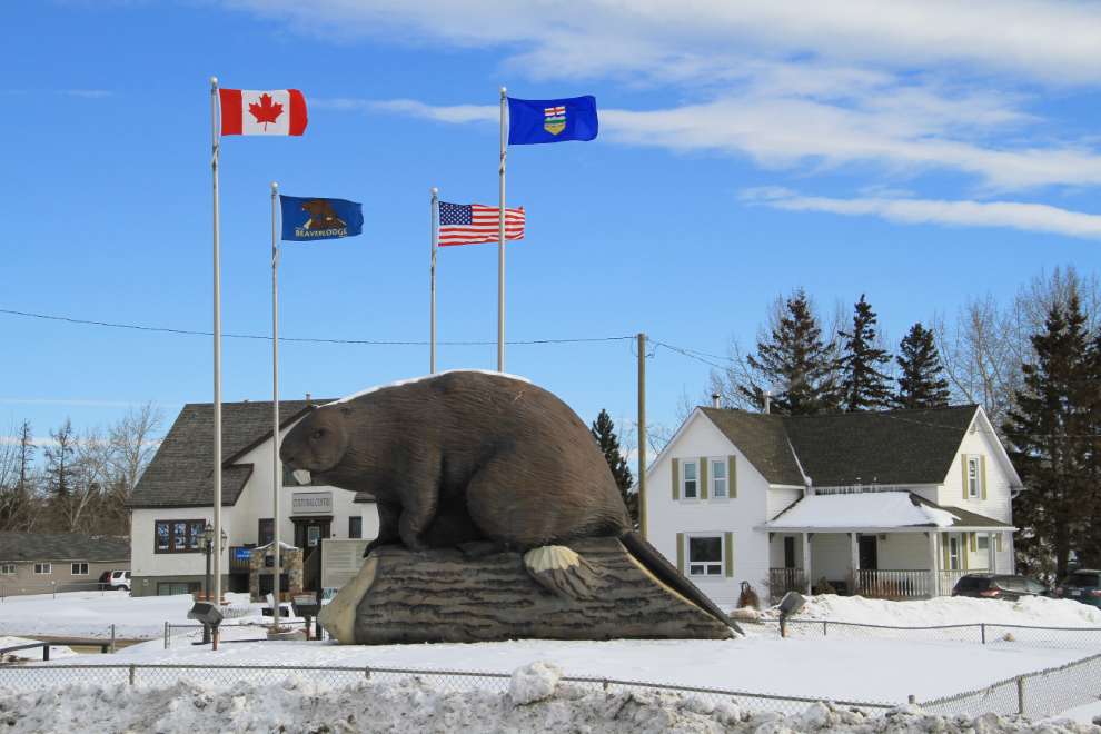 Giant Beaver at Beaverlodge, Alberta