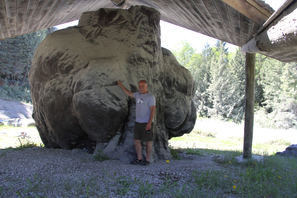 World's second largest burl, in Port McNeill, BC
