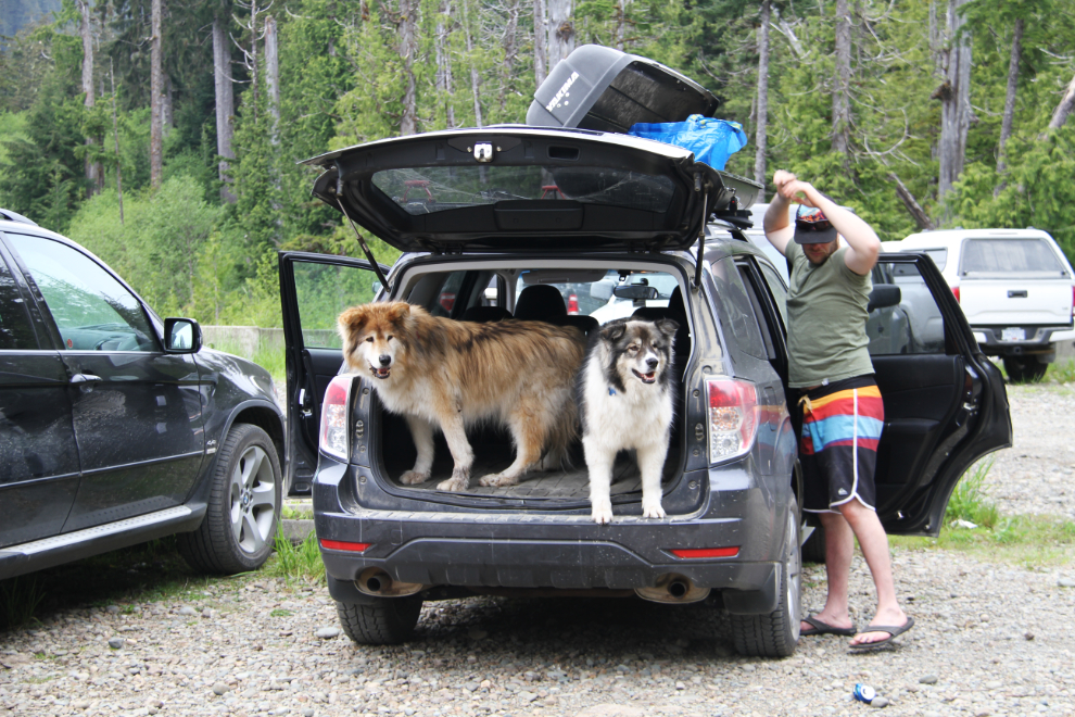 Dogs at the Cape Scott trailhead