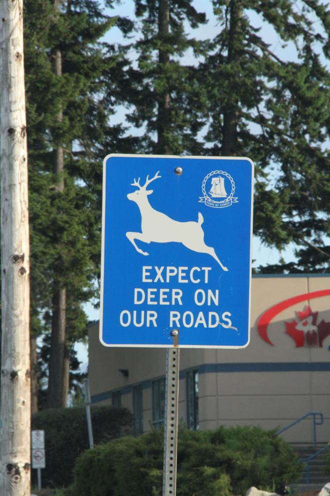 Deer warning sign, CFB Comox