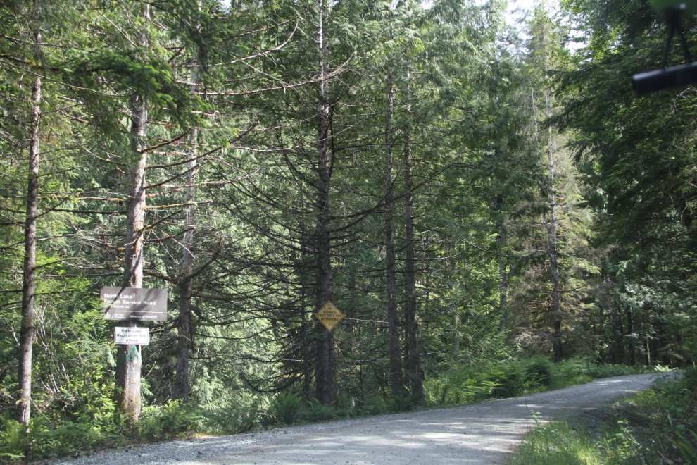 North Lake Forest Service Road near Egmont, BC