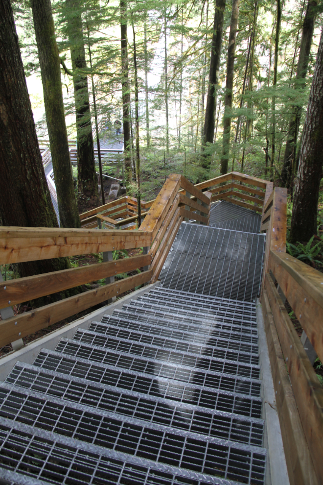 Stairs to the Elk Falls viewing platform and suspension bridge