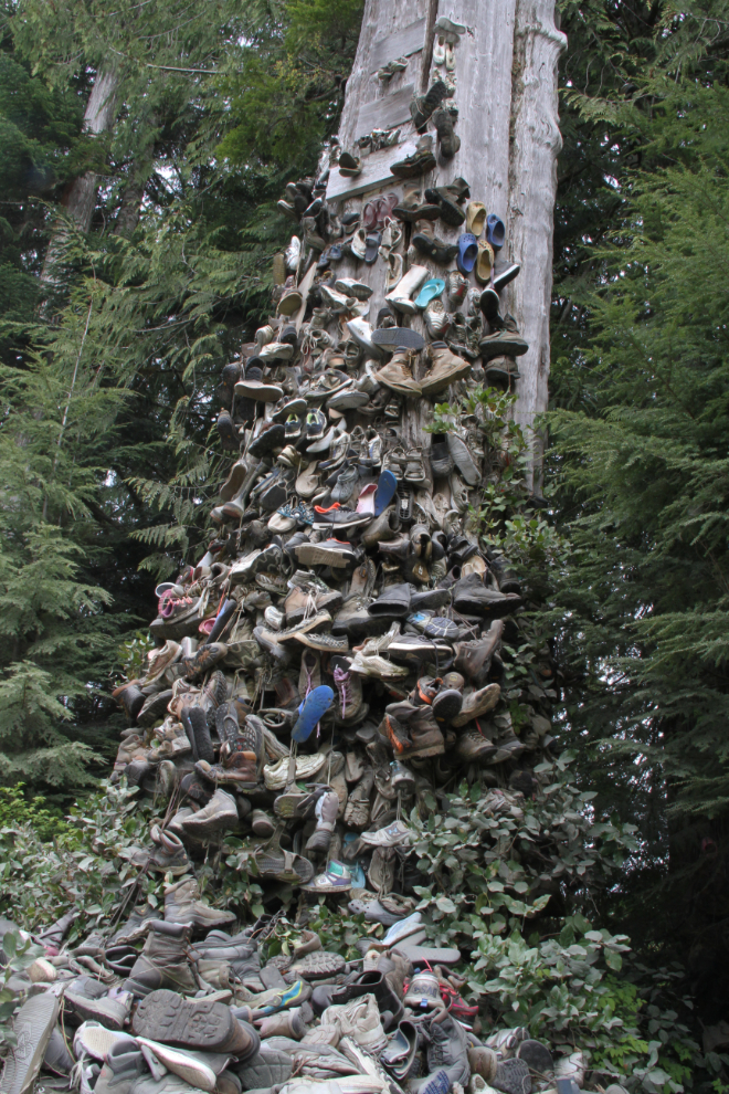 The shoe tree on the Holberg Road, BC