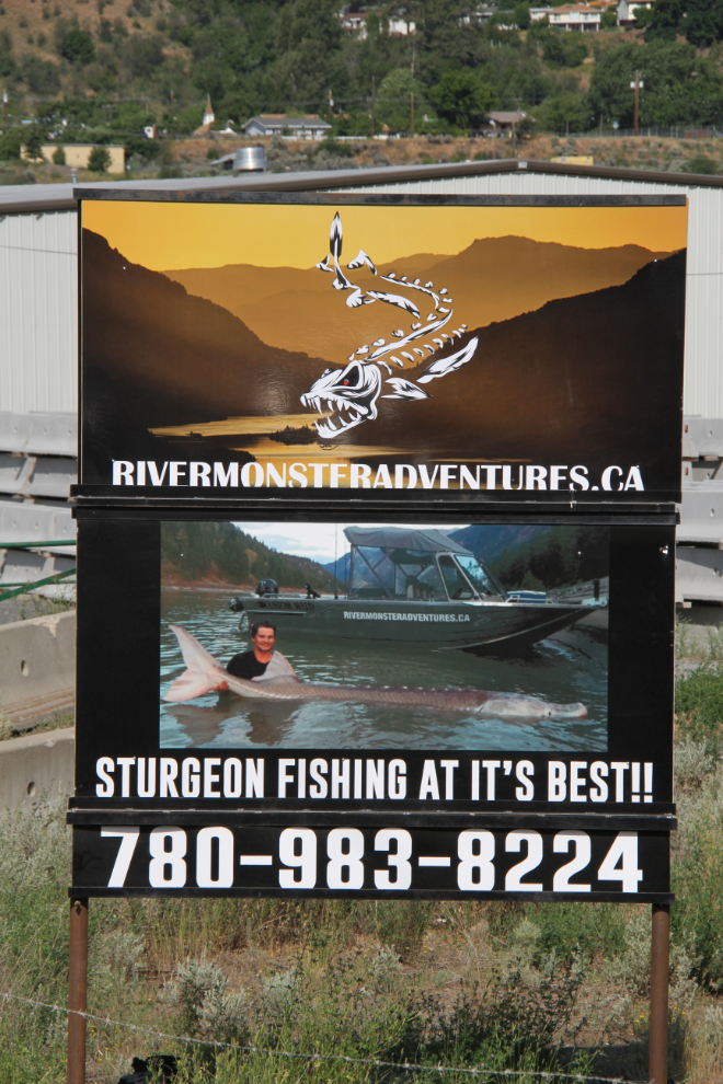 Fishing for white surgeon at Lillooet, BC