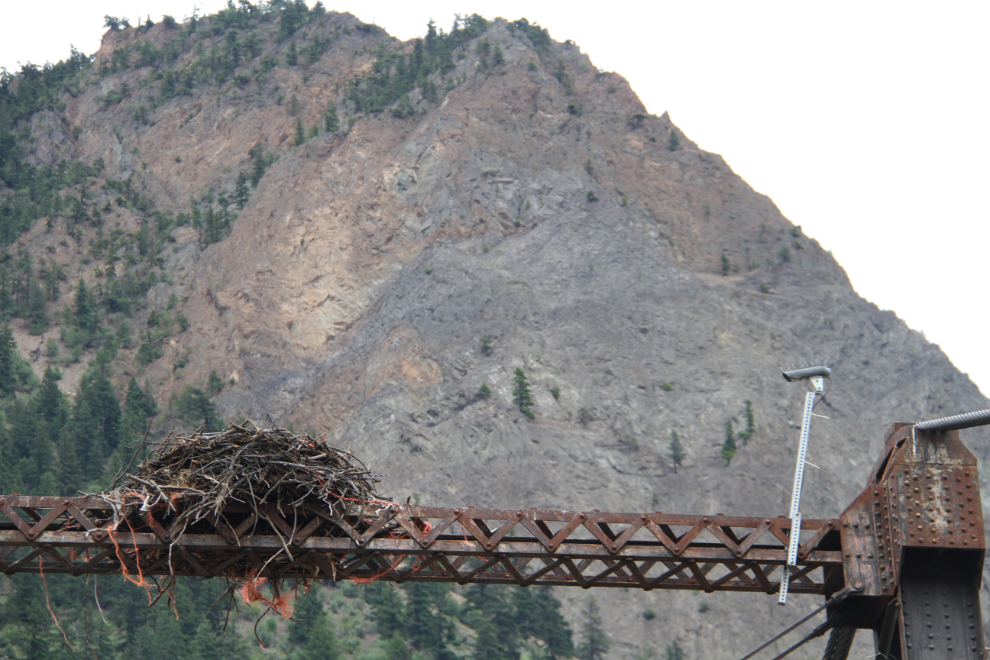 Osprey nest on The Old Bridge at Lillooet, BC