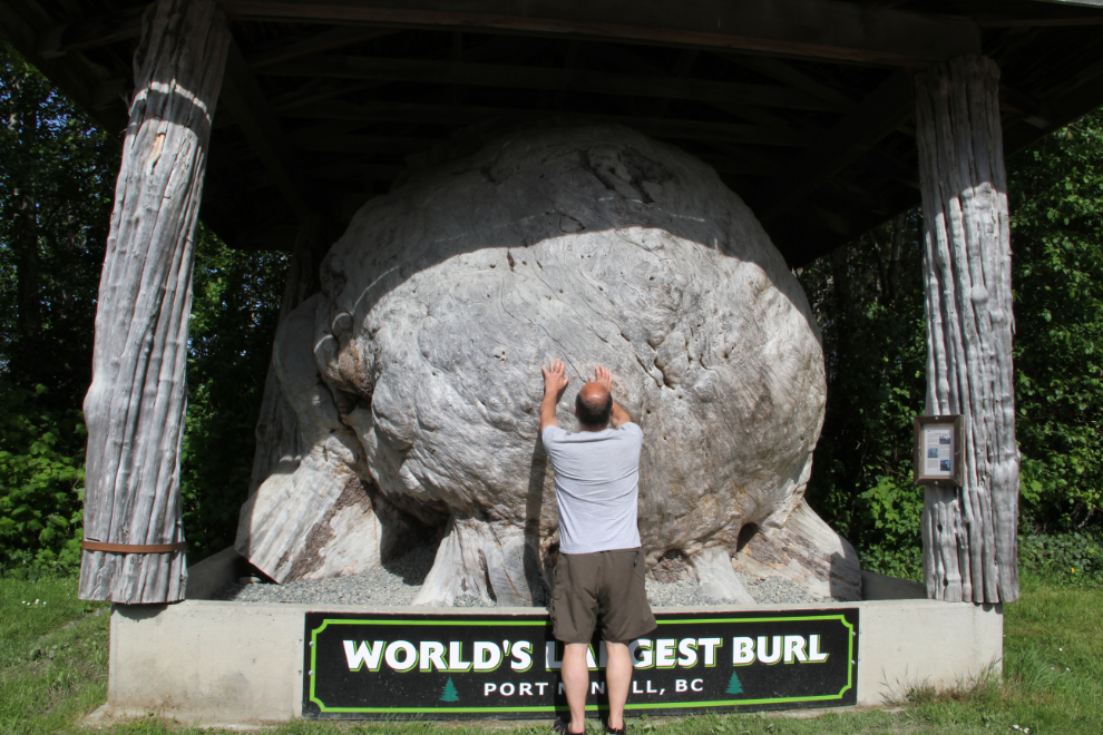 World's largest burl, in Part McNeill, BC