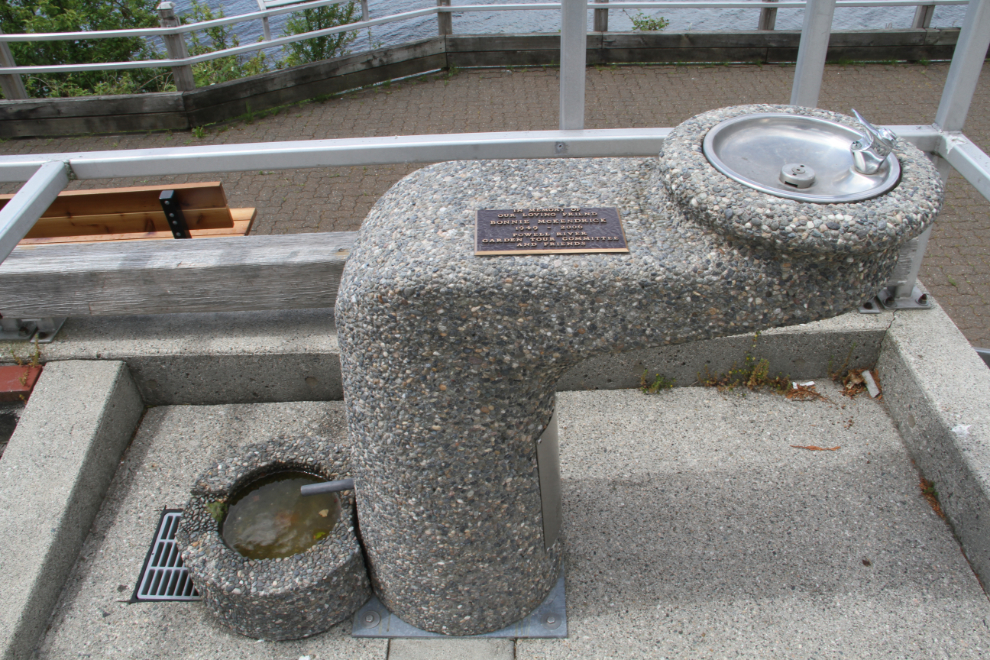 Water drinking fountain at Powell River, BC