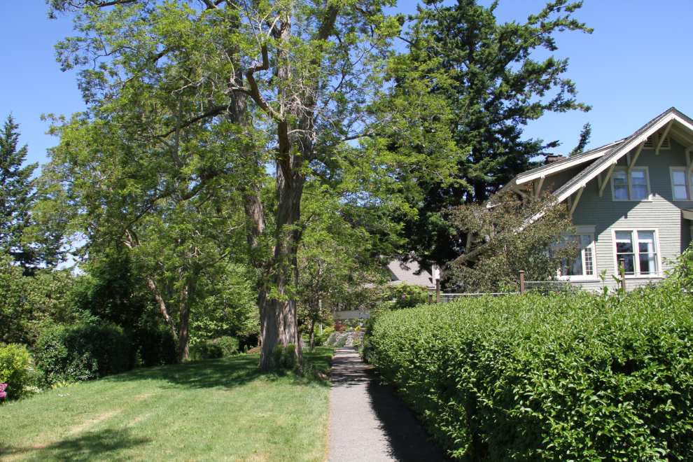 Historic homes in the Powell River Townsite