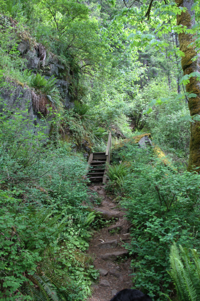 Ripple Rock Trail, BC