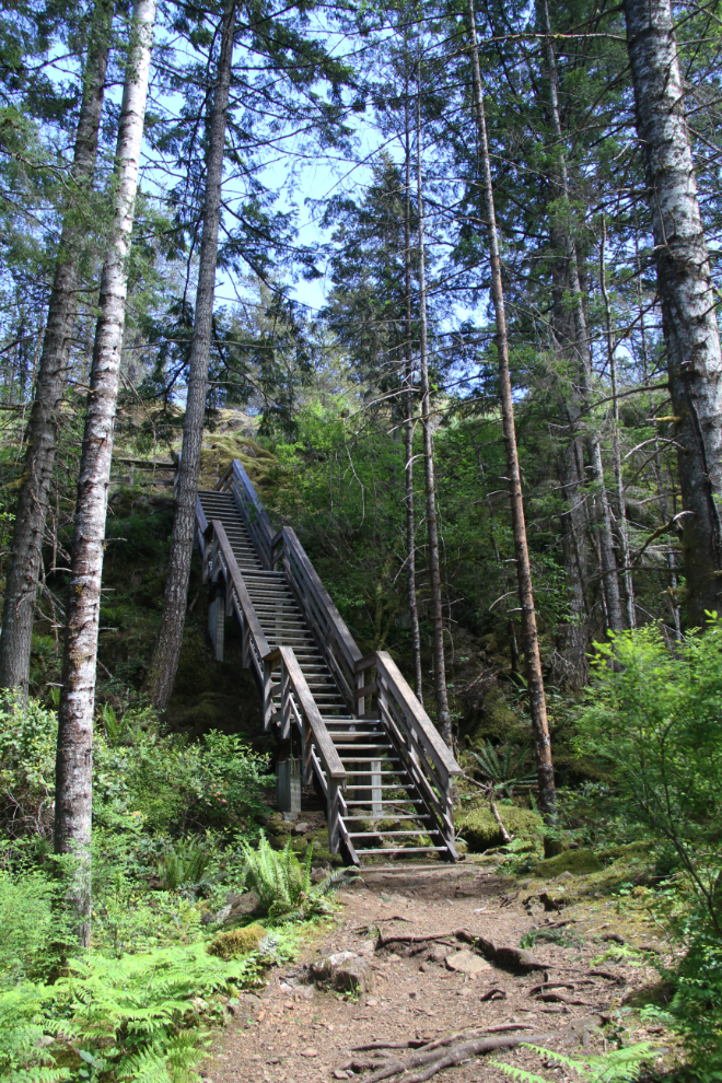 Stairs near the end of the Ripple Rock Trail, BC